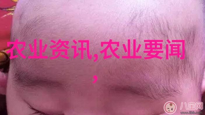 金华苗木网今日求购洛宜路上的法桐遭毁美景不再