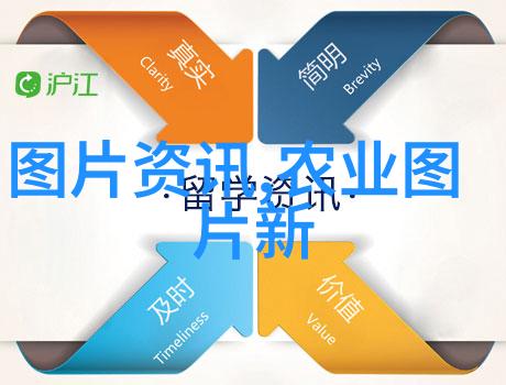 豌豆的奇妙世界从种植到美食的探索