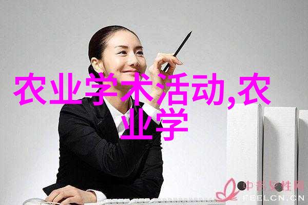 红果冬青树一款15元至18元的温室佳选