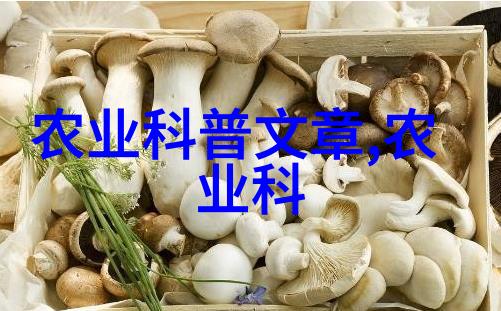 河流与湖泊沿着水系追踪有机物质的循环与变迁