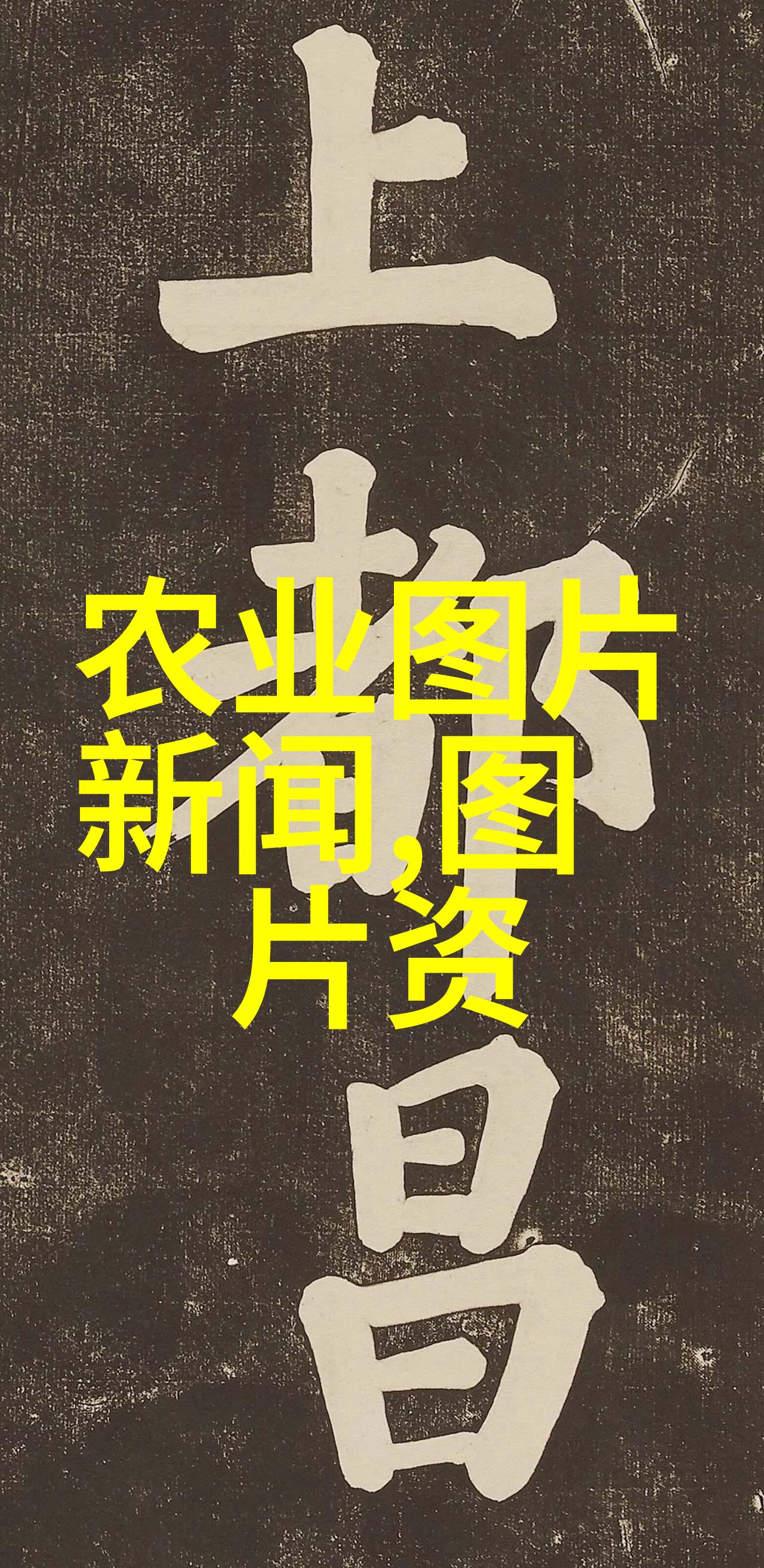 乌龙茶的魔法解析其促进消化与增强免疫力的效果