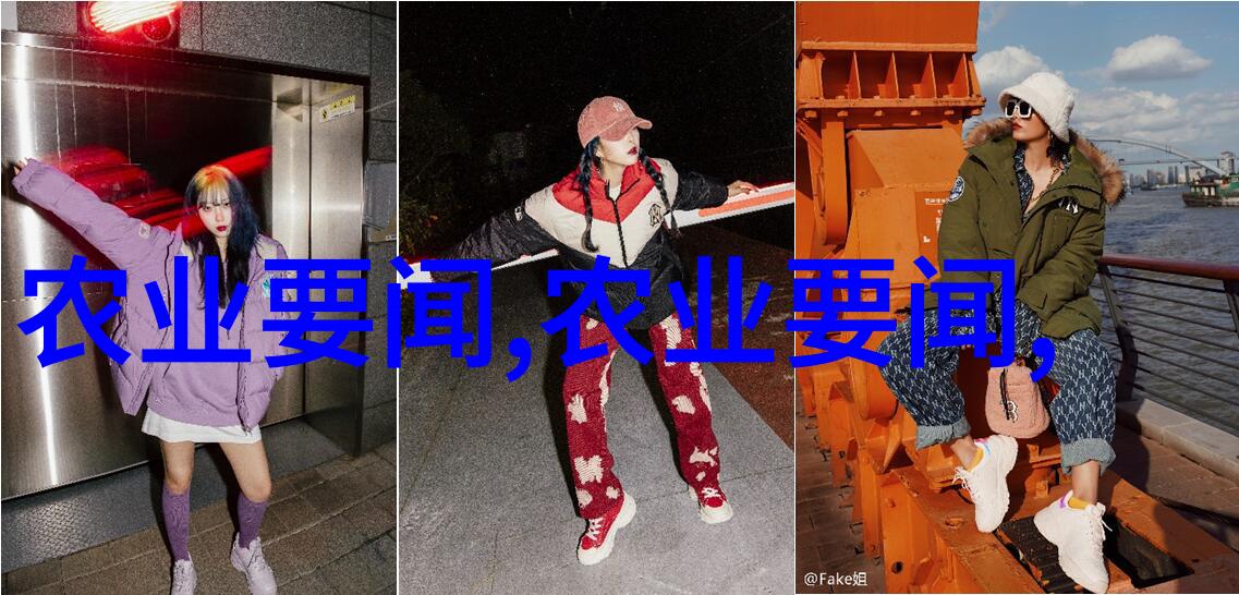 如何通过室内植物实现全年无休止的鲜花享受