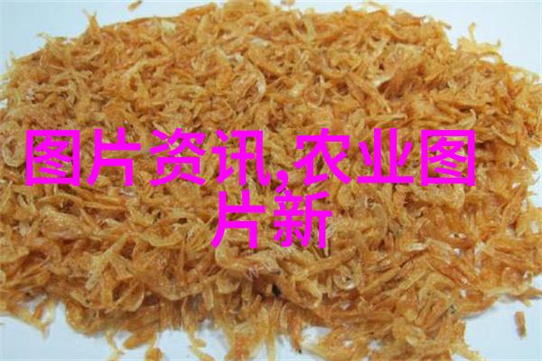 神奇养蜂技术-蜜源奇迹揭秘神奇养蜂技术的奥秘
