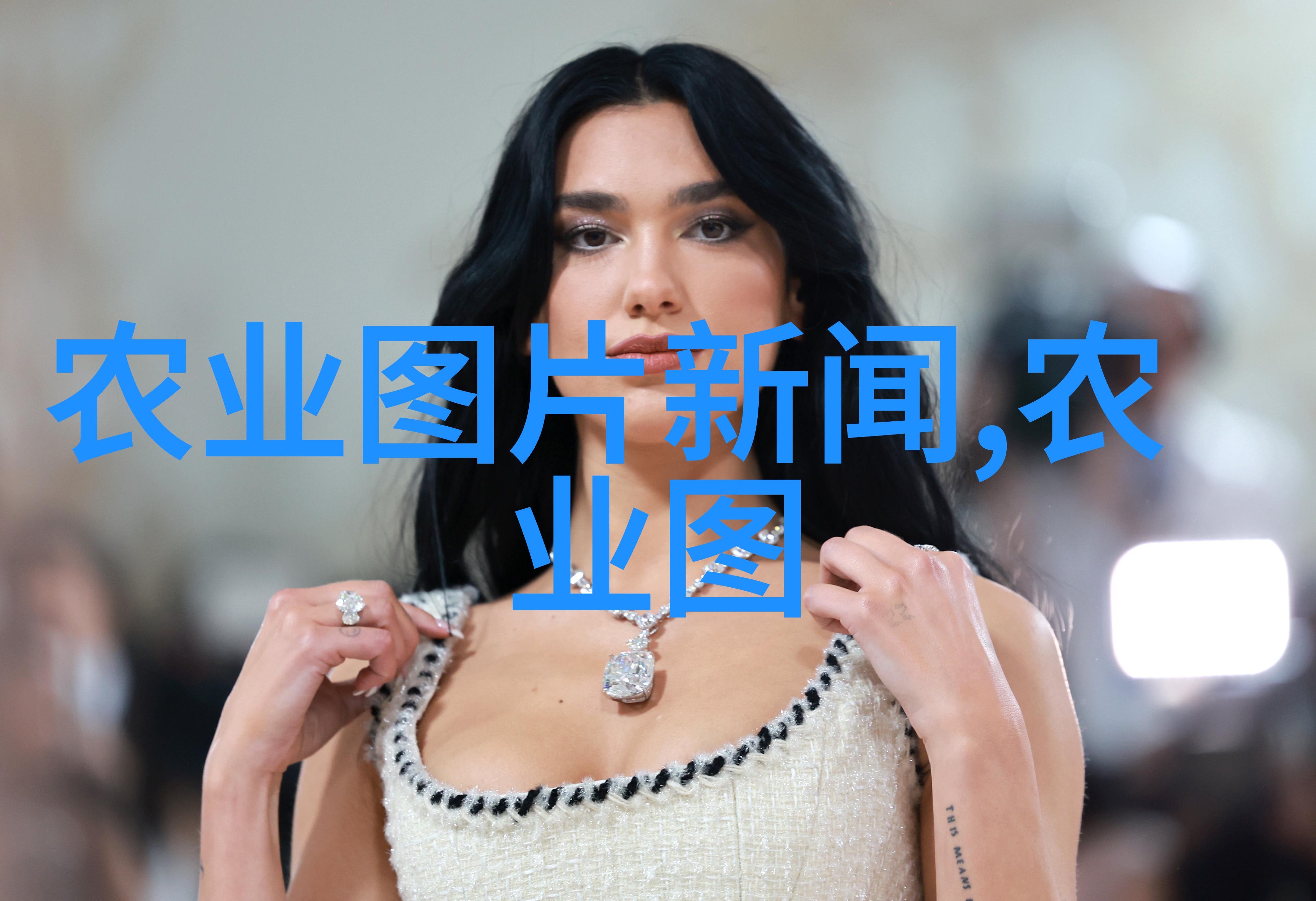 蜜蜂的秘密语言解读他们如何传递信息
