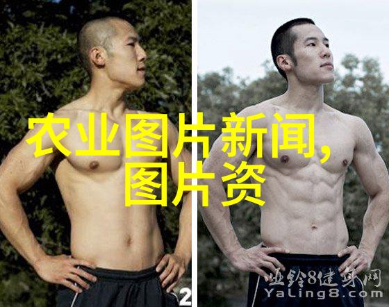 绿化工程案例分析成功应用于城市空间的苗木选择