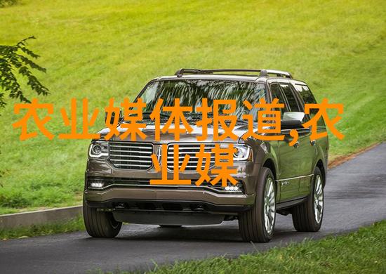 法律程序中的辩护权保障