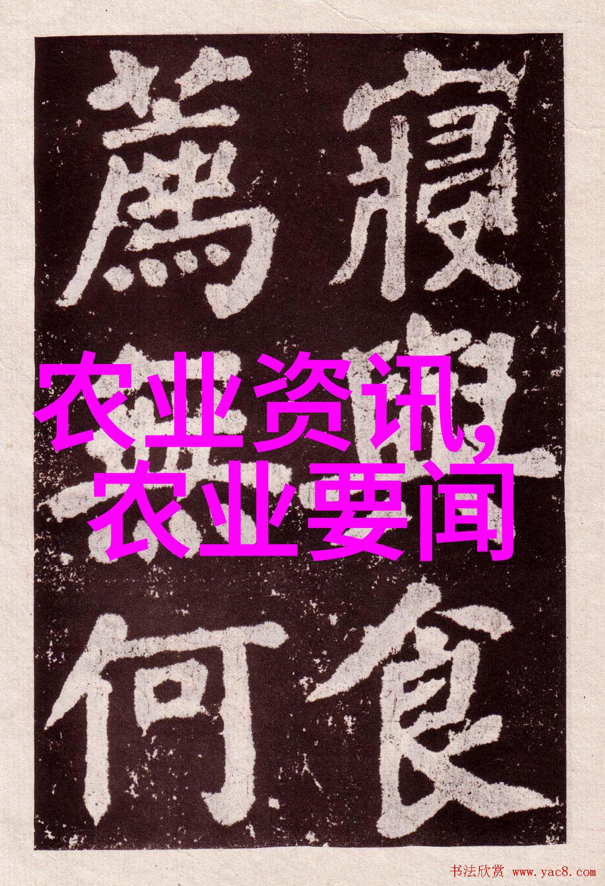 七大农作物育种国家重点研发计划三个项目启动