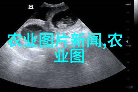 大白的智慧之光揭秘这位小男孩的超人能力