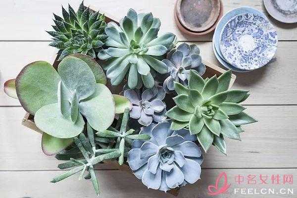 轻松享瘦安然长寿让我们一起找出喝茶为什么健康