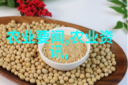 金线莲种植秘诀解密如何在家中养出这朵神奇花
