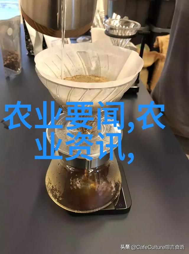 释迦果种植条件和区域我来告诉你怎么在家里种个甜美的释迦果
