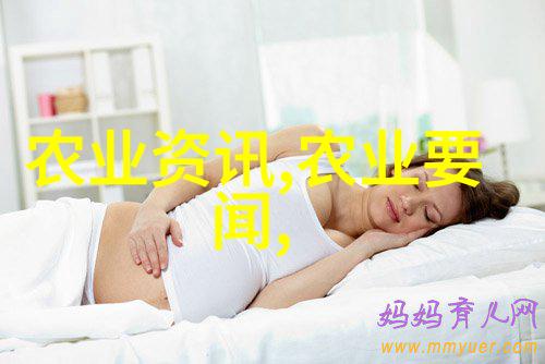 健康饮品-十大最养胃茶让你轻松拥抱平衡生活