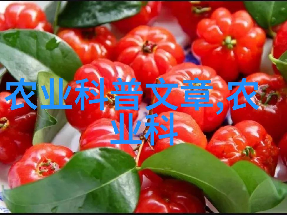 养羊国家有补贴吗要养多少只-牧场梦想解读国家羊类养殖补贴政策与经济效益分析