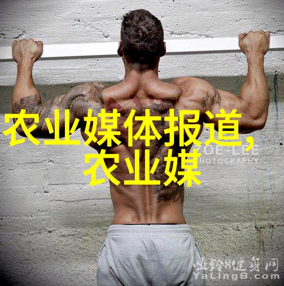 吹塑机的精髓与应用前景