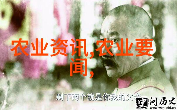 18公分天竺桂的魅力与价格绿意盎然的园艺佳选