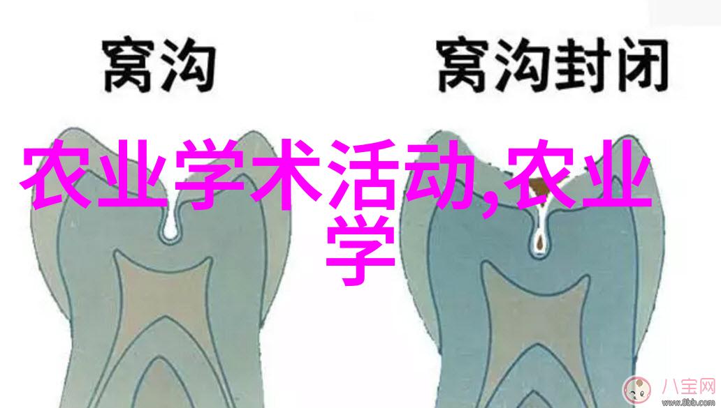 玉米秸秆收割机我是如何用一台小巧的收割机让玉米地里的秸秆变成家用的燃料的