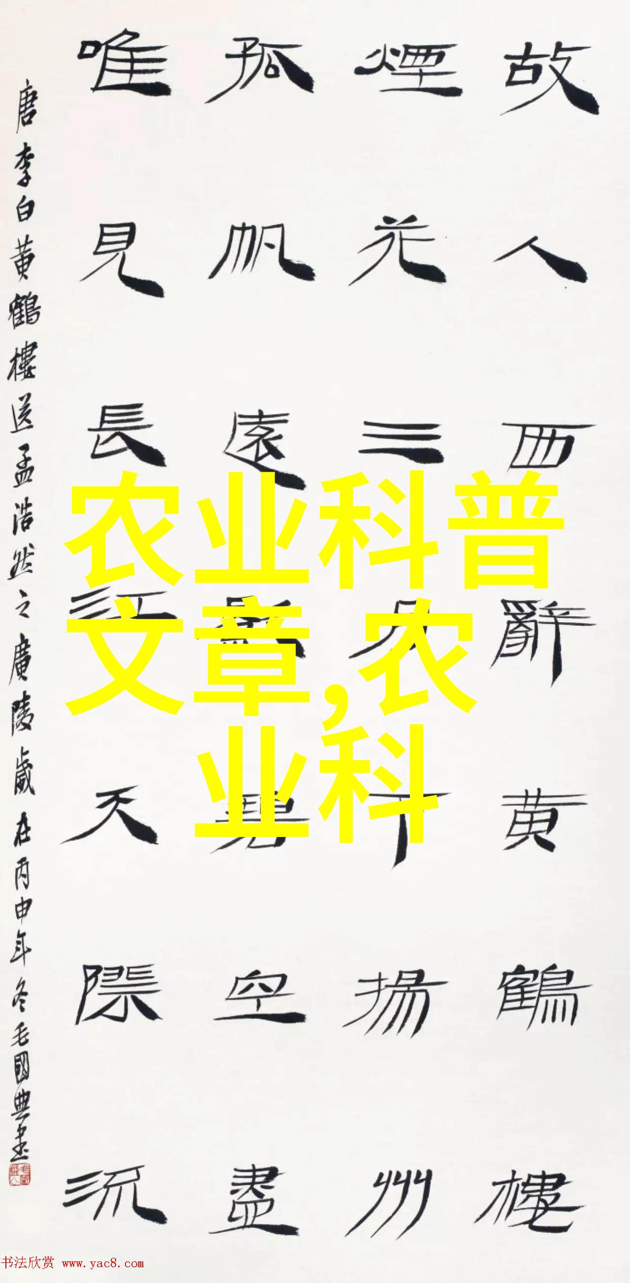 家庭客厅养什么花好 - 选择适合家中生活的美丽植物