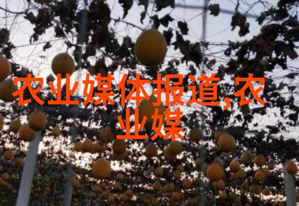 把玩者赏心悦目的旅途品鉴中国茶叶史上的精彩瞬间