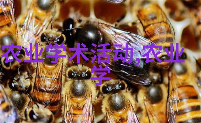 技术进步是否能显著提高射干产量从而提升利润