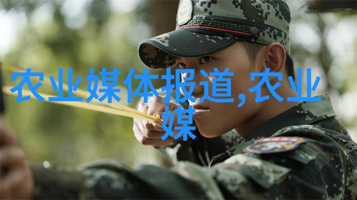 中药材最贵的前5名-红宝石草根揭秘中国大陆中药材市场上最昂贵的五种珍品