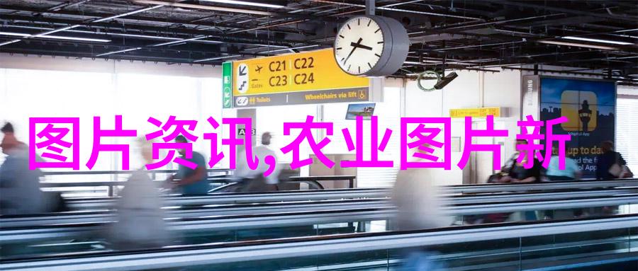 一座由爱和生命孕育出的森林公园我对位于东南部城市郊区的一片广阔地带利用不同类型如学术研究课题构建了一