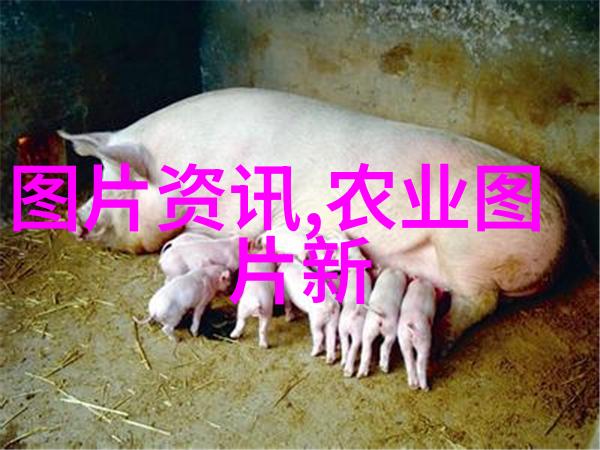 春暖花开夏日果实成熟秋风送爽冬季果树再次绽放四季如春的奇迹一年四季都开花结果的果树