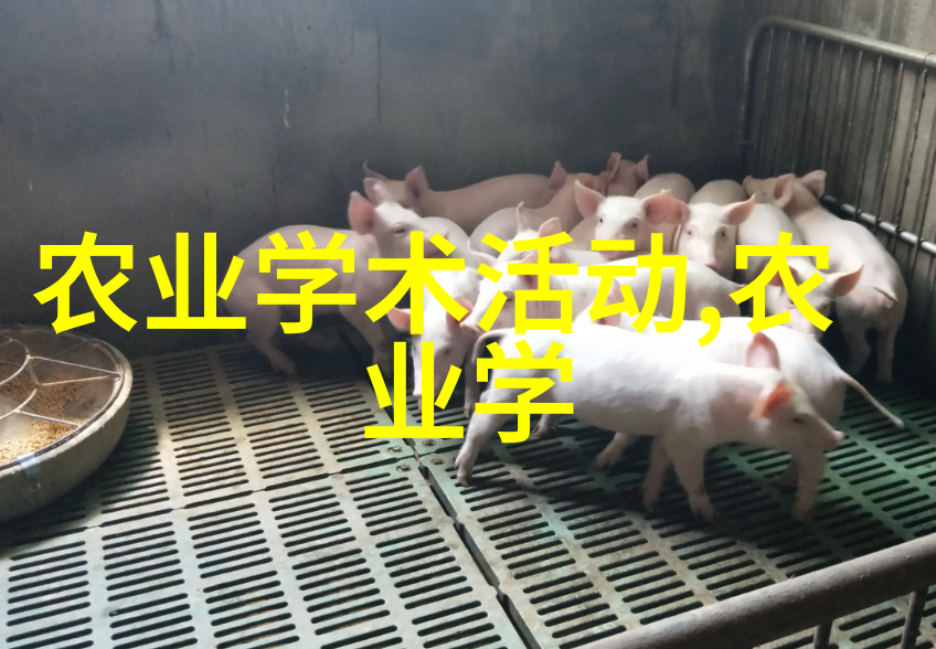 在有限空间中也能种出美味健康食材有没有建议一些耐寒且快速增殖的小型水果树苗来提高效率