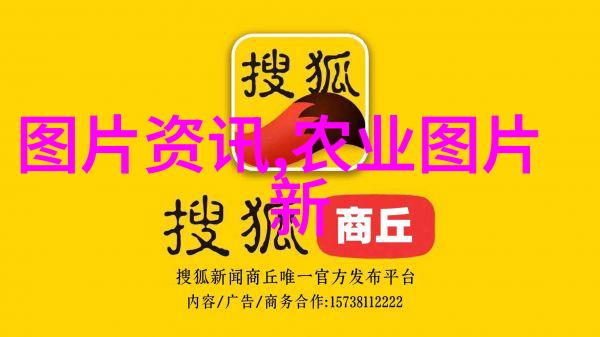 花卉秋季栽培管理措施秋天养花小窍门我是怎么让花儿在寒风中也绚烂多彩的