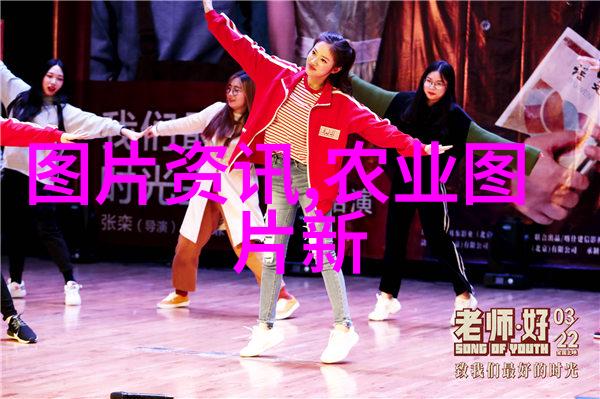 民法典全解契约继承与责任等关键部分详解