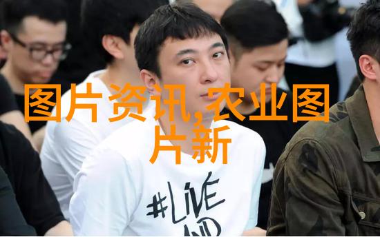 回到过去变成猫我是怎么误打误撞地成为了一只回忆中的猫咪的