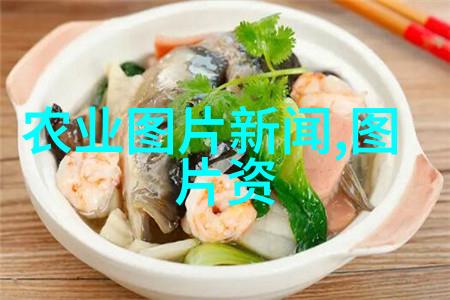 四棱豆小小角斗士的奇幻冒险
