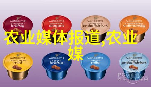 金蝉饲养技巧与管理要点