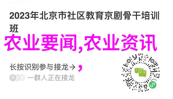 静谧的巨人室内大型植物的懒人守护者