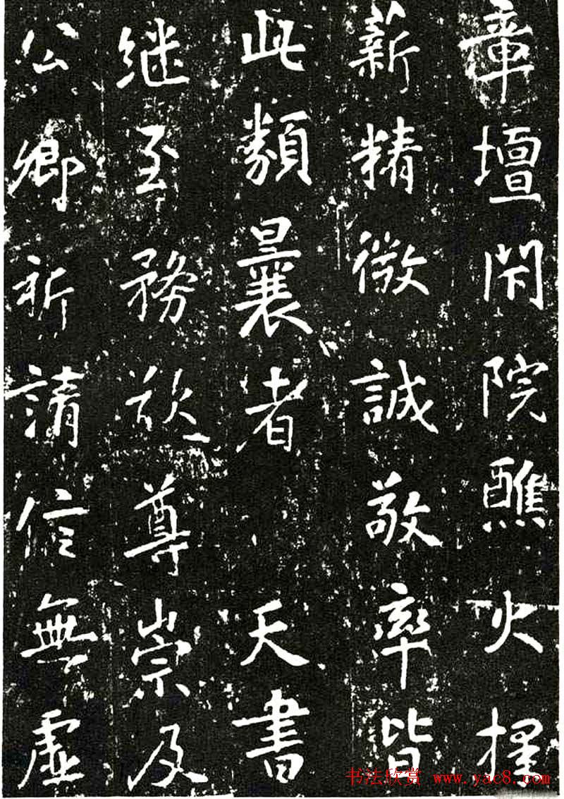 10年枫树一棵多少钱探索园艺投资与美化生活的智慧