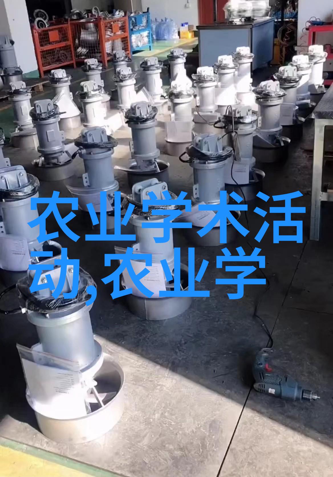 食品市场-香菇价格波动影响因素与消费策略