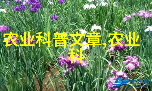 绿茵茵的田野豌豆的悠扬歌声