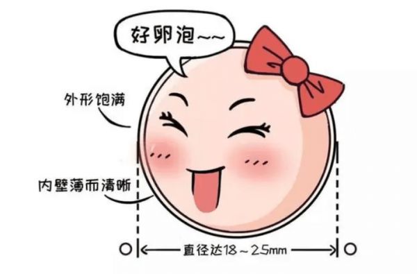 抹茶