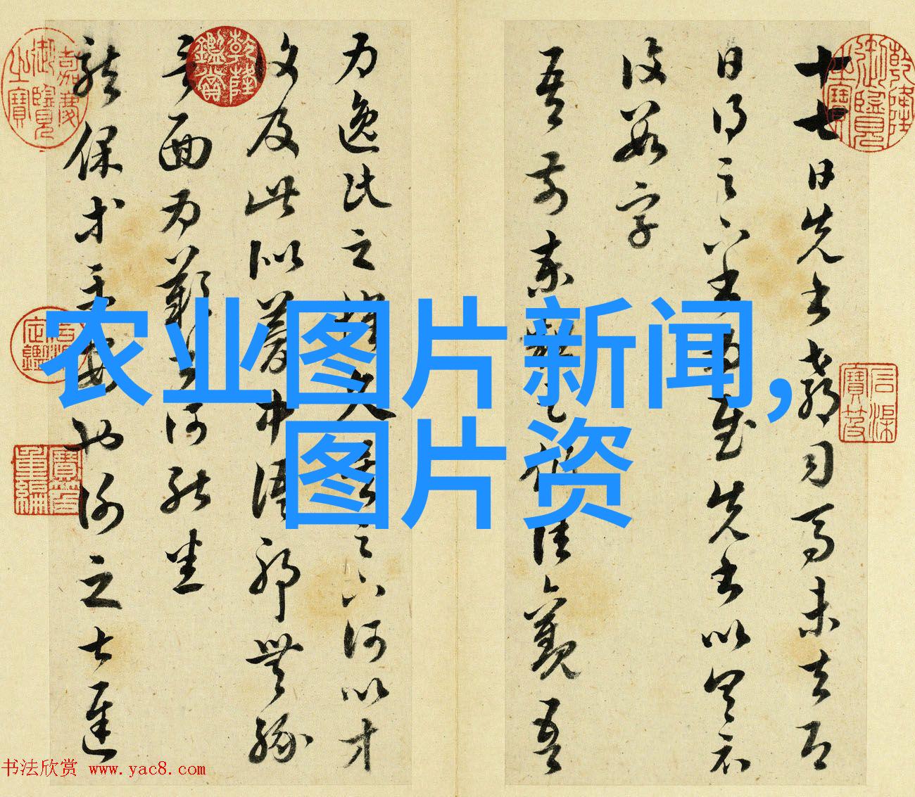 从粪土到金钱揭秘猪粪蚯蚓养殖的奇迹之路