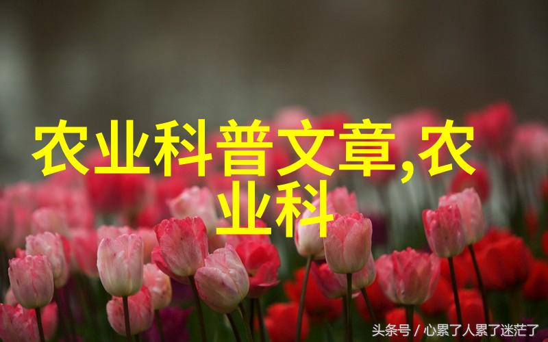 金线莲种子价格走高市场需求激增的背后故事