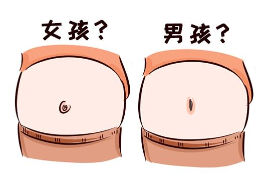 深入探究桔梗种植技术与亩产值的双重驱动力