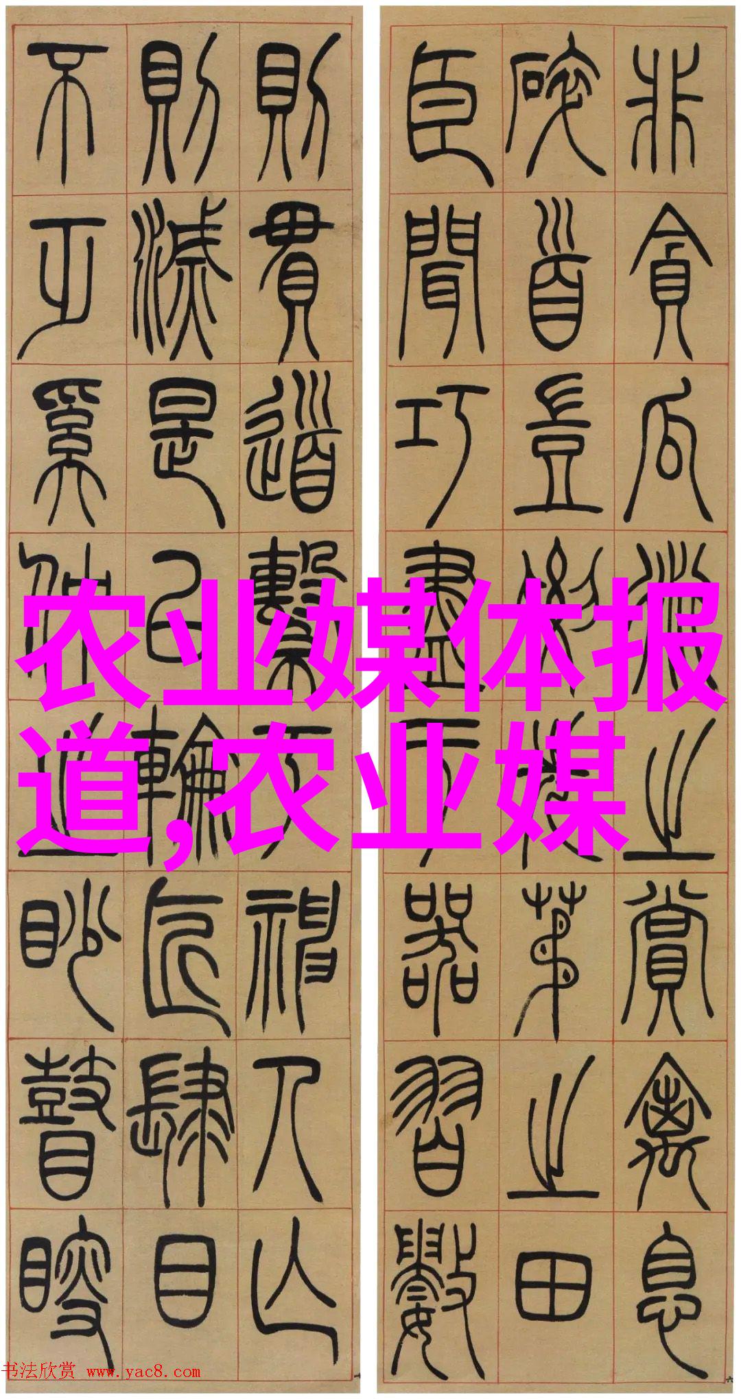 农牧业财报-绒毛丰收50只母兔一年的利润之谜