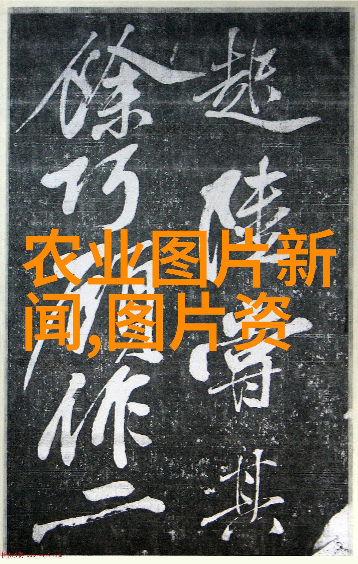 零距离营养源 家庭阳台上的健康饮食之路探索