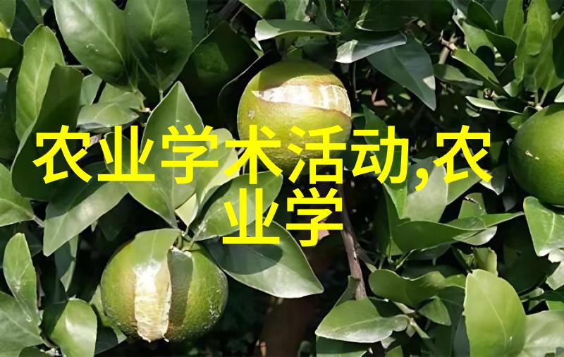 在家中种植的五大药材精华