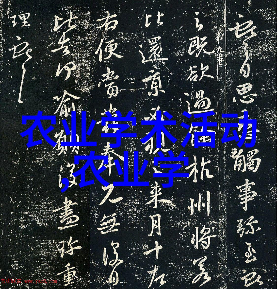 生态保护与生产力提高双赢的中国农村新篇章