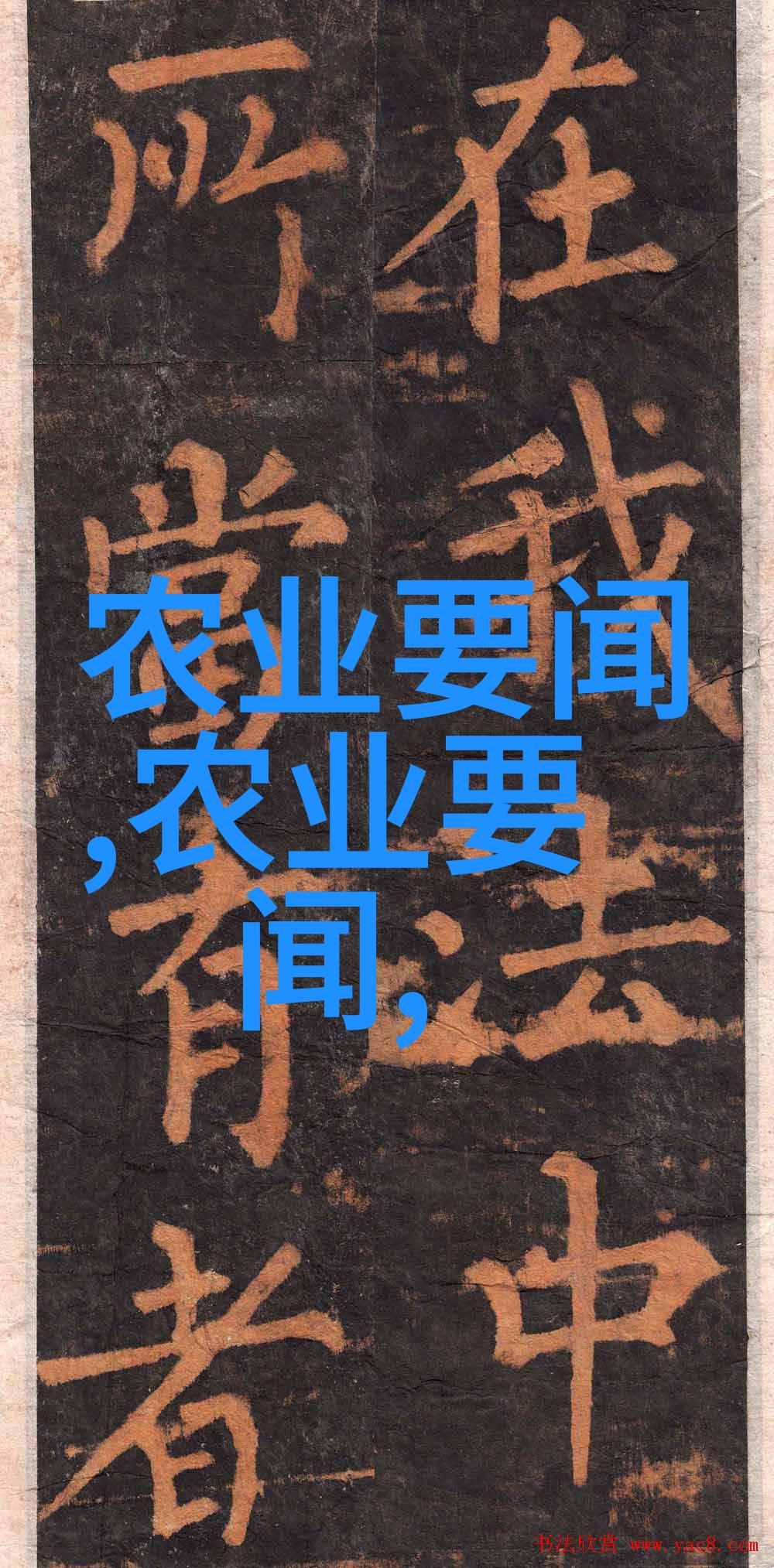共筑梦想之桥大团结精神下的免费全文阅读奇遇