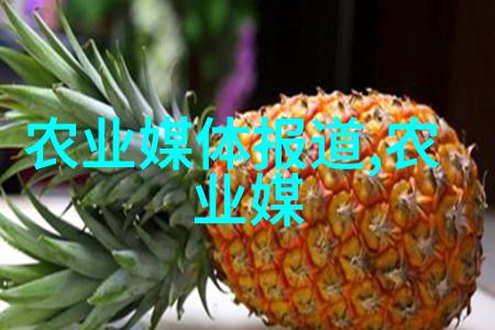 DIY手工项目如何利用水果籽做出精致装饰品