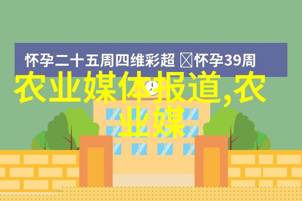四棱豆-四方宝石探索四棱豆的奇妙世界