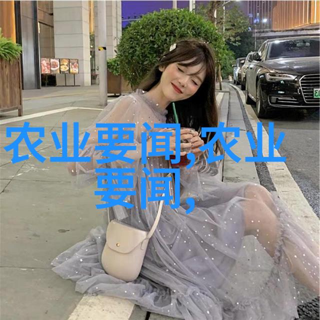 家居美化盆景花卉的艺术魅力与实用价值
