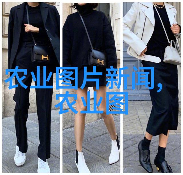 百宝箱中的珍珠与垃圾揭秘最贵药材背后的故事