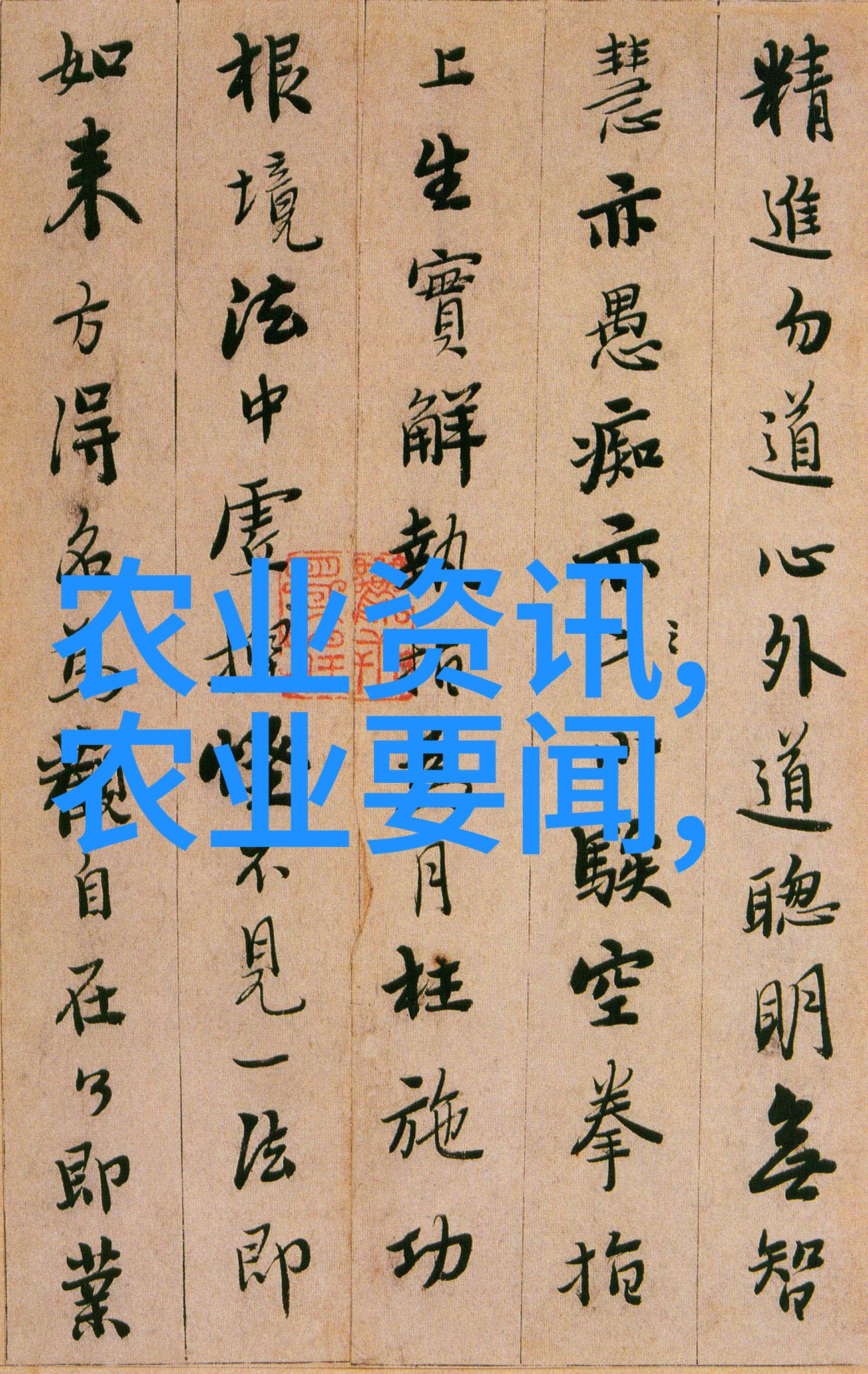 在北方地区我应该选用哪些耐寒的植物作为冬季装饰品